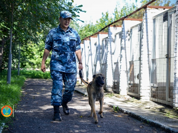 Кинологиялық қызмет орталығында полицейлердің сенімді серіктері үйретіледі