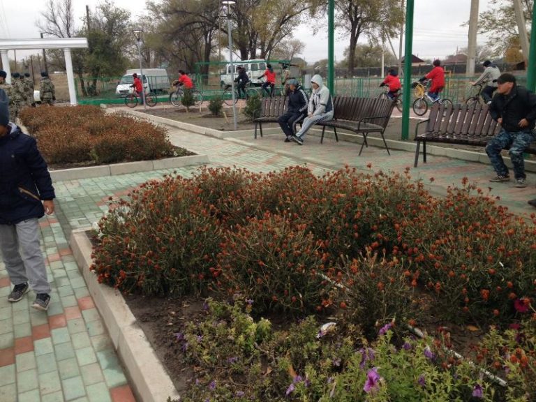 Алматы облысында жастар аллеясы ашылды